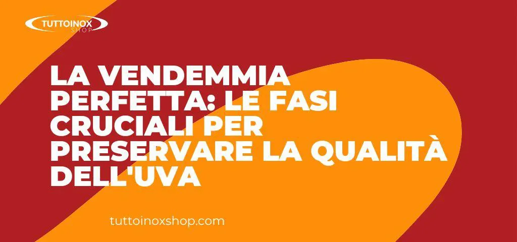 La vendemmia perfetta: le fasi cruciali per preservare la qualità dell’uva