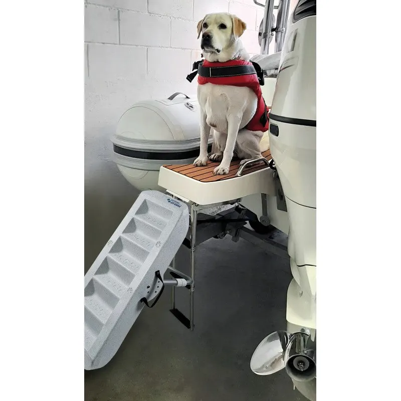 Scaletta per cani