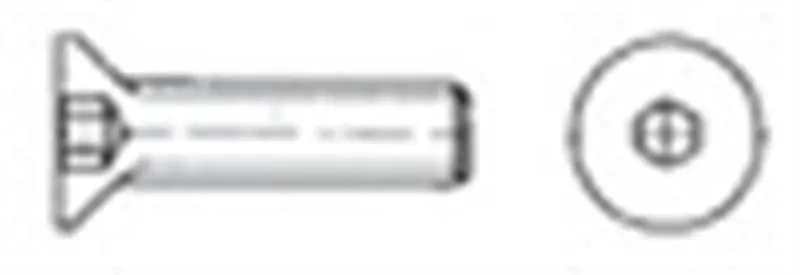 Brugole 6x60 AISI 316 316.7991/6X60