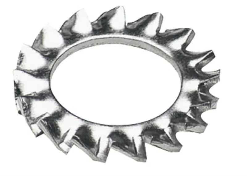 Rond. dentellata 5 AISI 316 316.6798/5