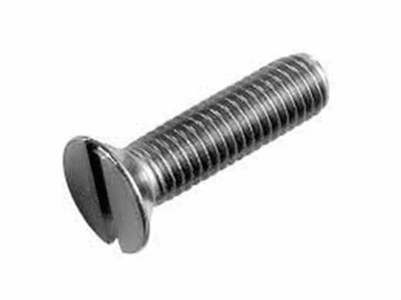 Viti sv.goc.tag. 8X80 AISI 304 MET/TS8X80