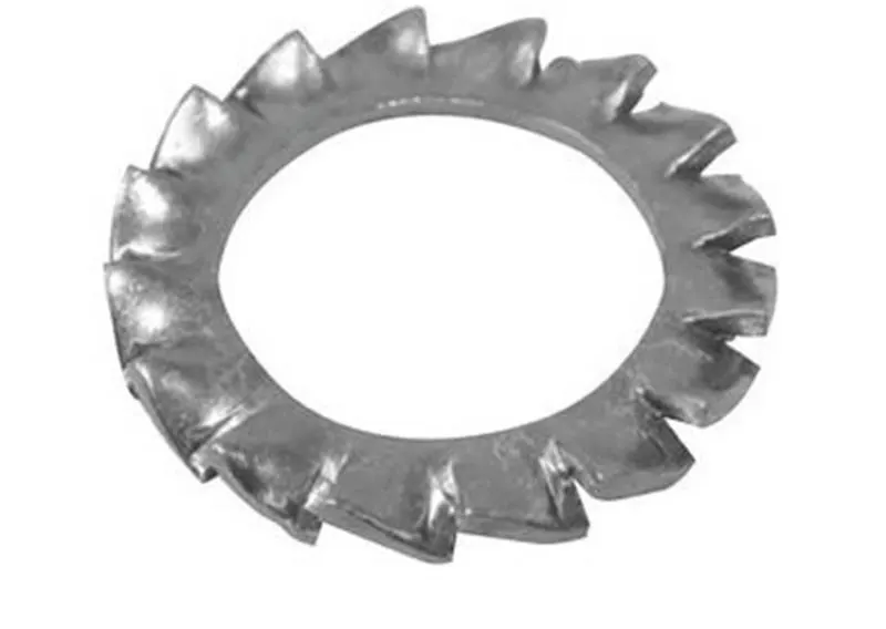 Rondelle dentellate 5 AISI 304 DENT5